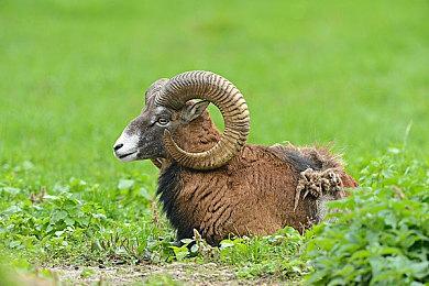 Xbox生态环境也在反击COVID-19疫苗的错误信息